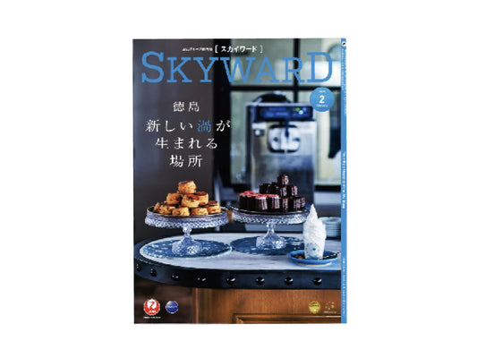 SKYWARD 2月号